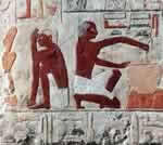 marche_nordique_chambéry